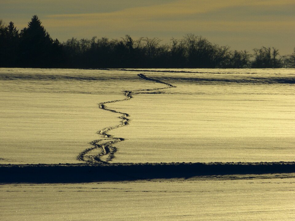 Snow lane trace wintry
