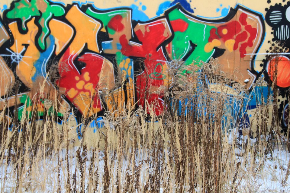 Wall flowers winter