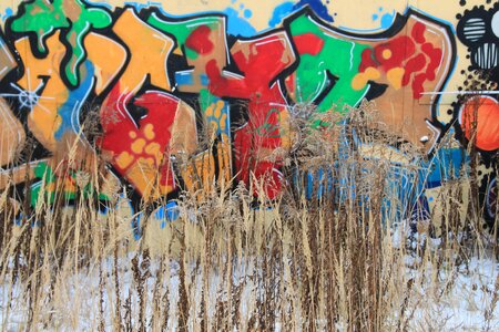 Wall flowers winter photo