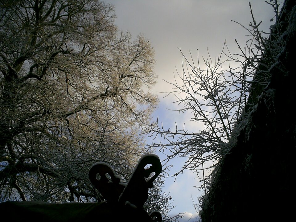 Winter snow winter magic