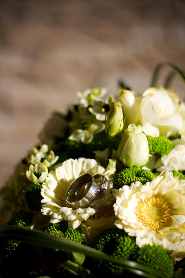 Florist flora white