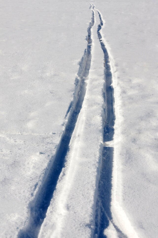 Cross-country exercise frozen