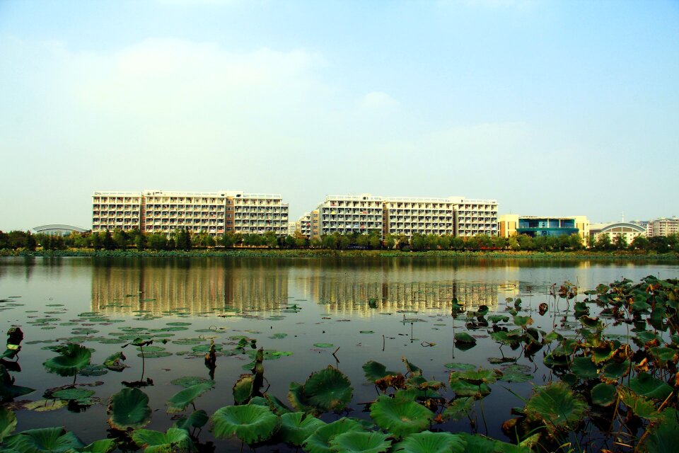 Block of flats living building