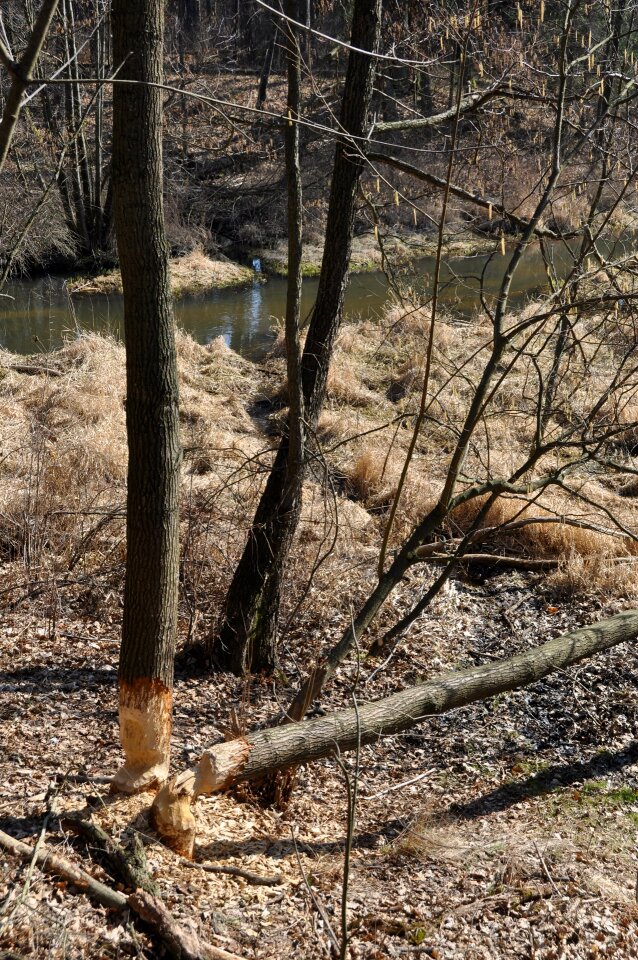 Construction water spring