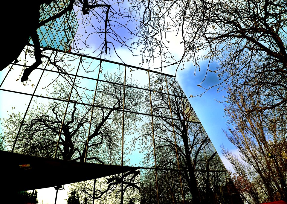 Glass wall architecture