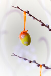 Spring holiday decoration