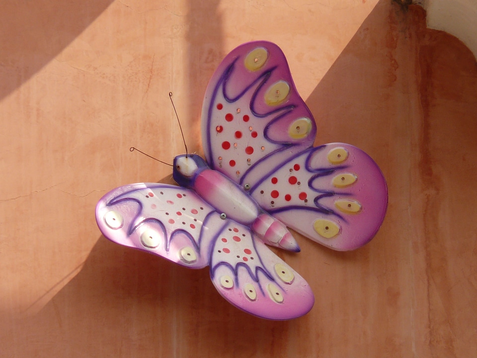 Insect wing pink