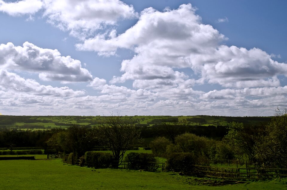 Landscape season spring