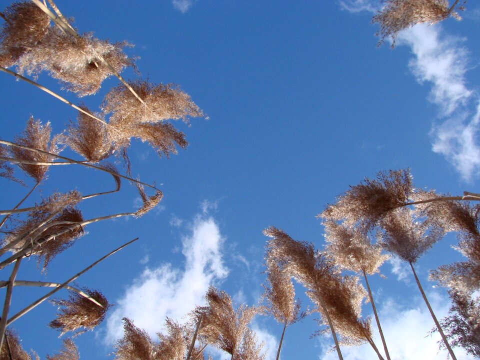 Sky spring landscape