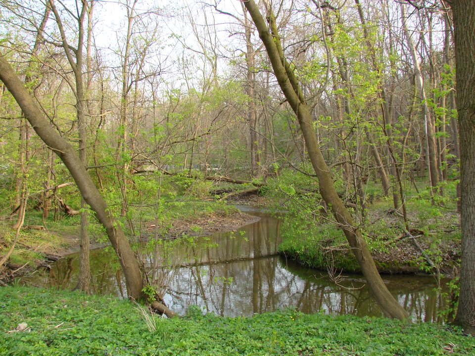 Landscape green grass water