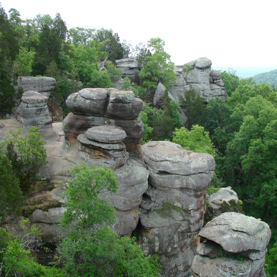 Landscape nature spring