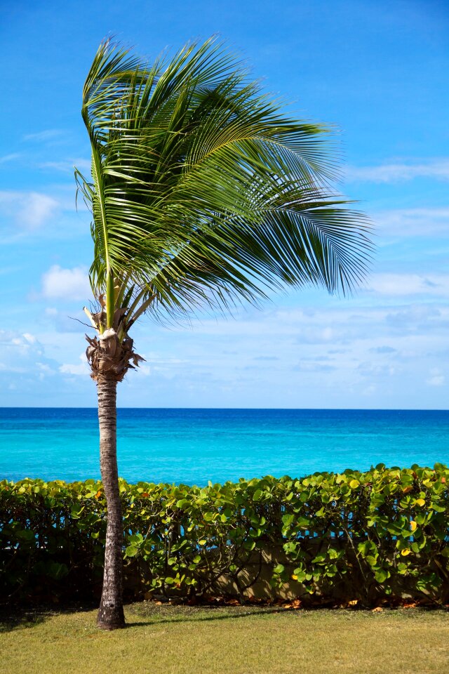 Coast landscape ocean