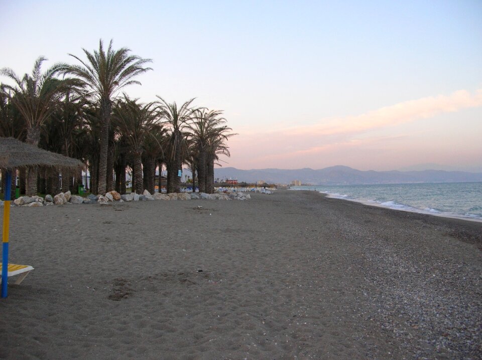 Spain city palm trees