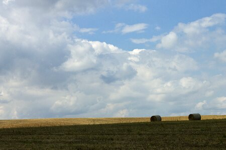Agriculture landscape wide photo