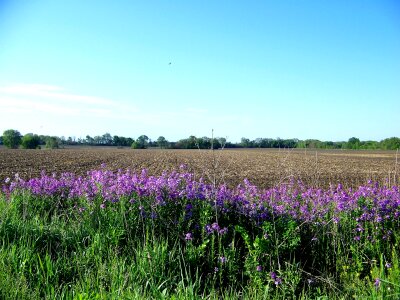 Field plowed cornfield scenic
