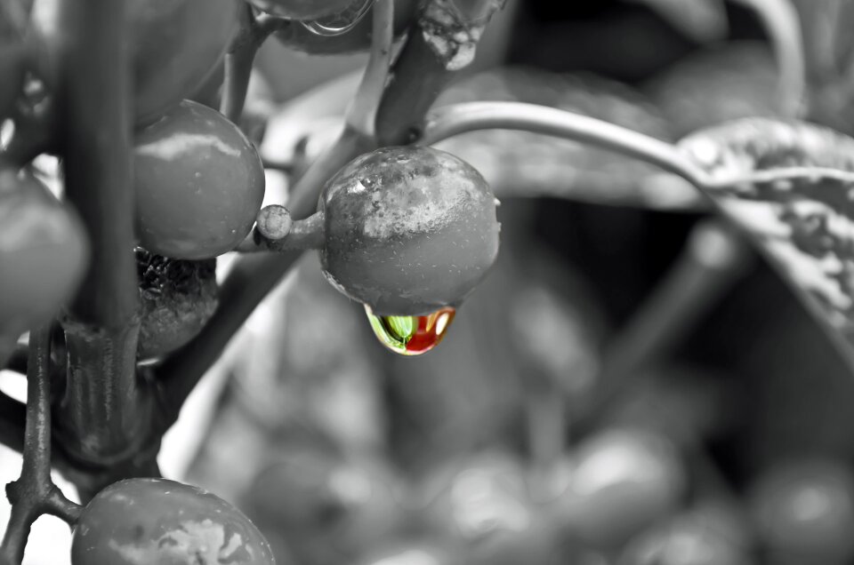 Water macro background