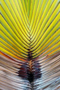 Geometric geometrical green