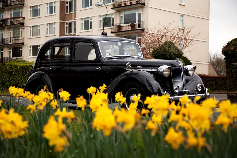 Automotive black car