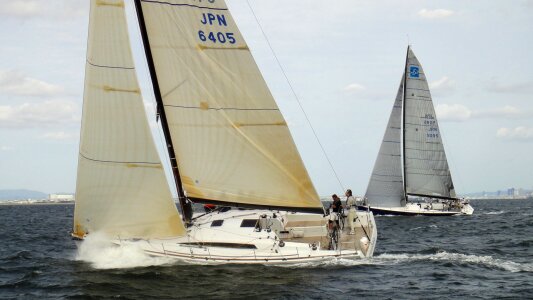 Sea wind sail photo