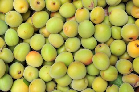 Fruit green backdrop