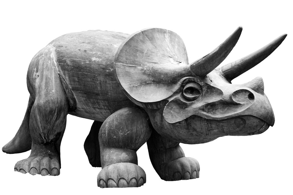 Fossil herbivore horned