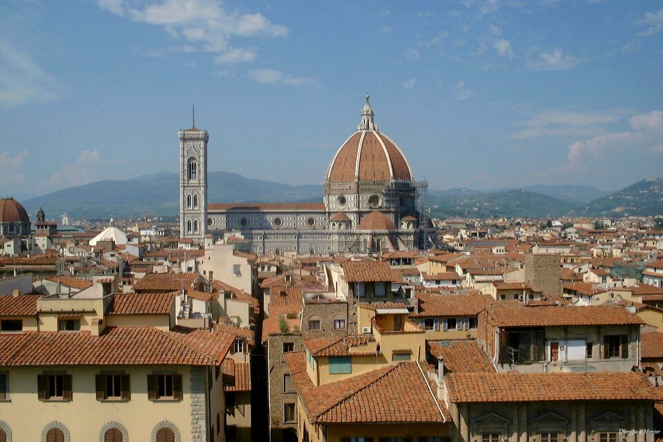 Dome tower majestic