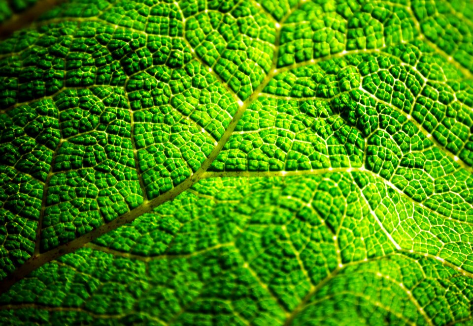 Droplet eco ecology