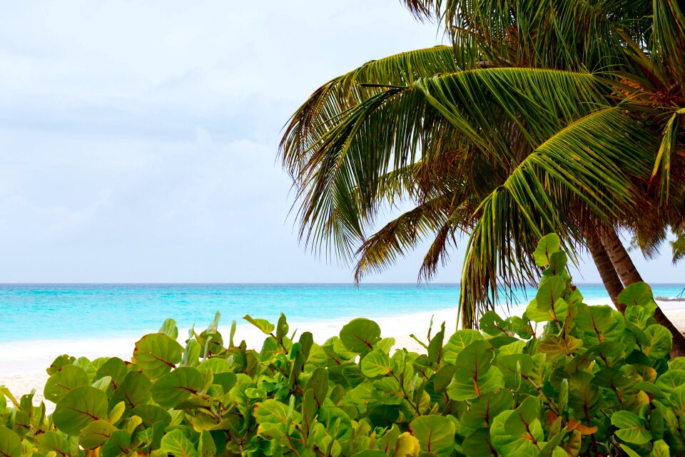 Coast landscape ocean