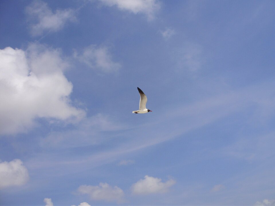 Clouds blue day