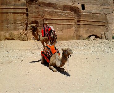 Blanket saddle rock
