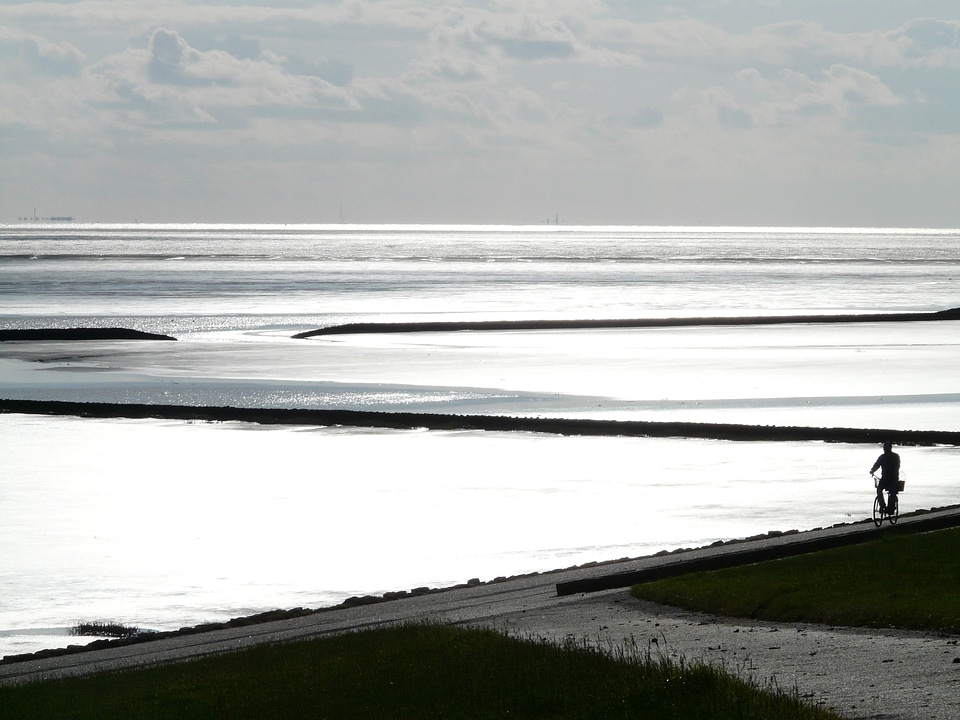 Ocean backlighting sparkle