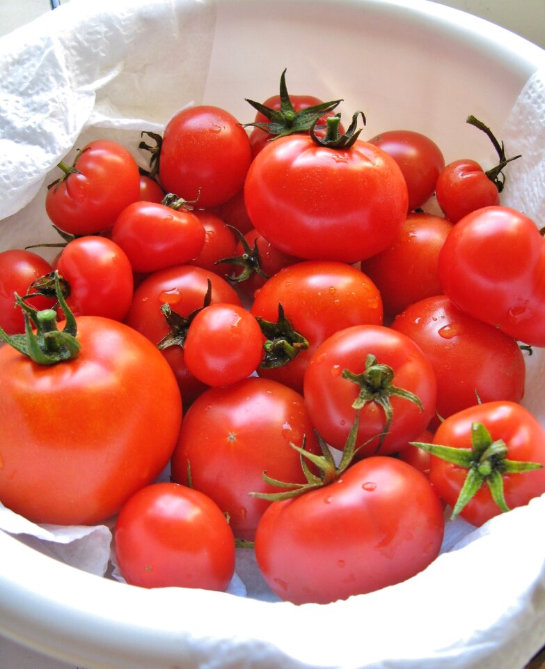 Red garden gardening