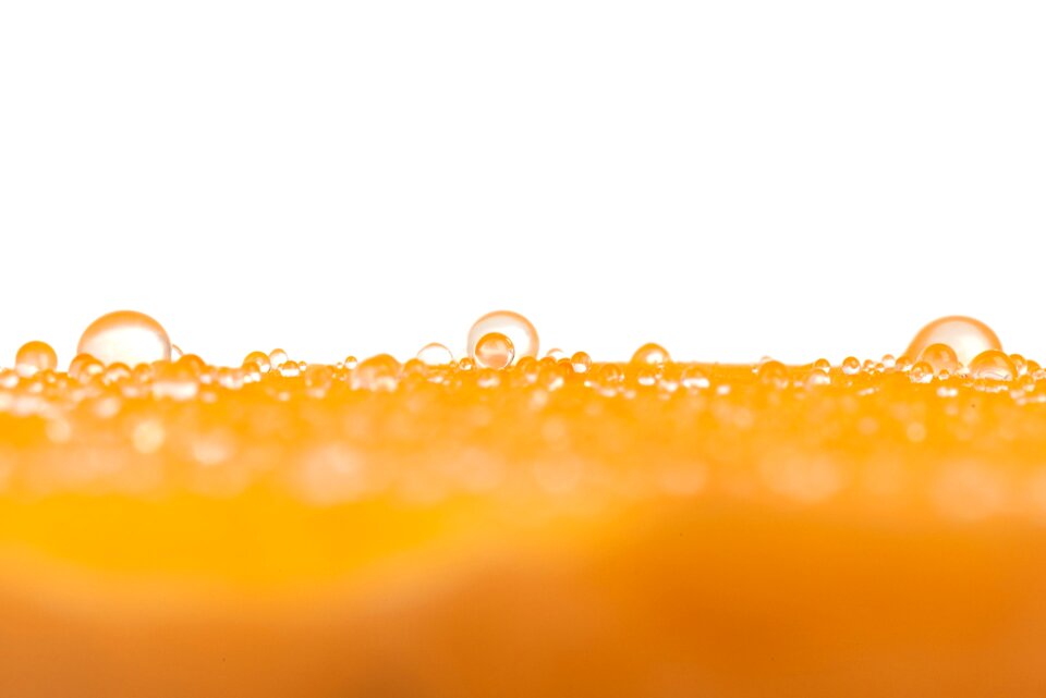 Close-up drop droplet