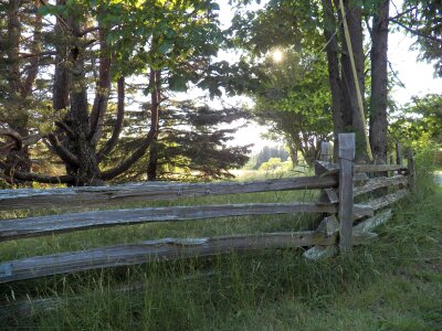 Fences meadow grass