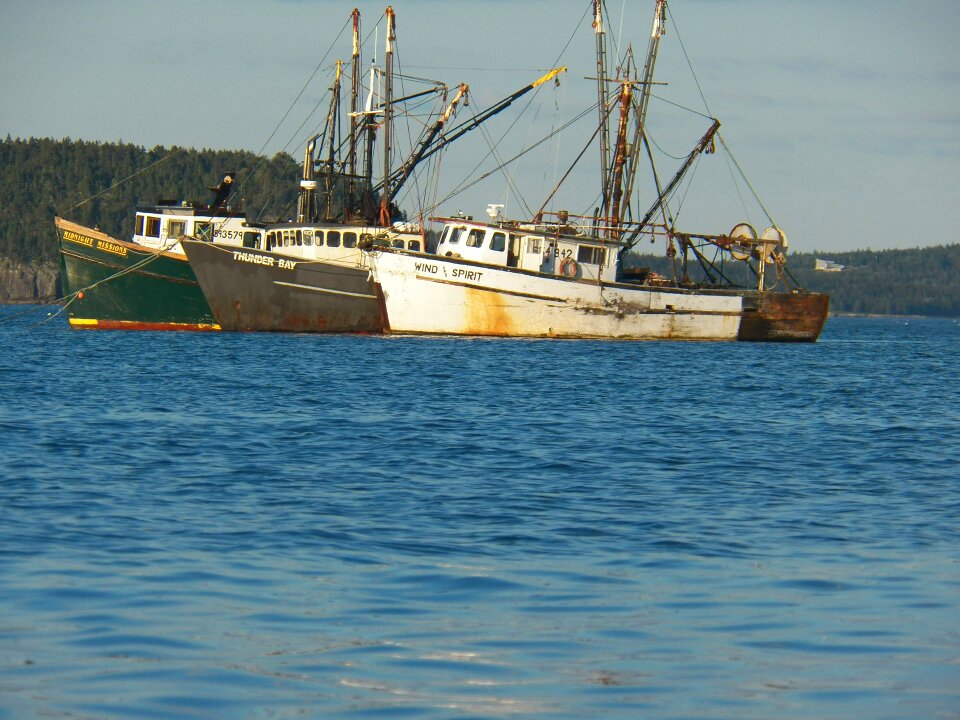 Boats vessel vessels photo