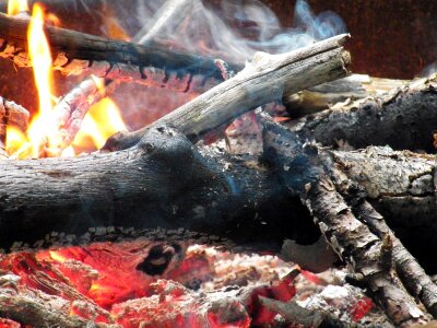 Firewood burn burning