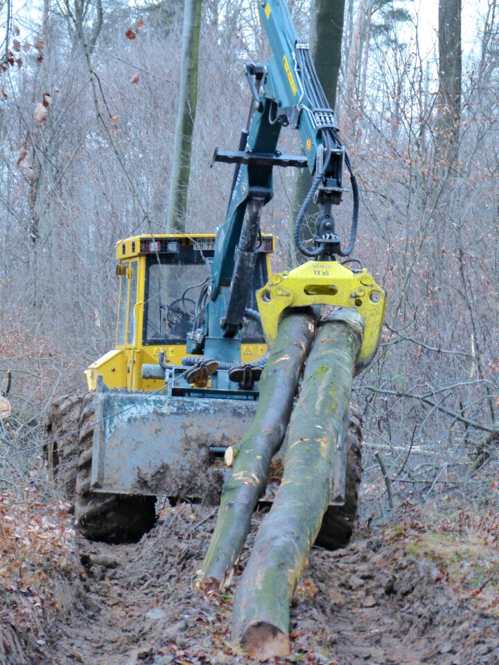 Forest work forest workers log