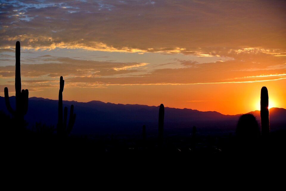 Desert landscape nature