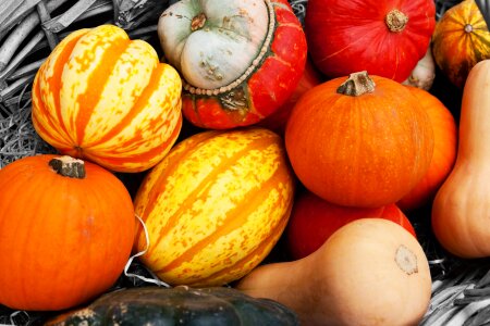 Crop fall food