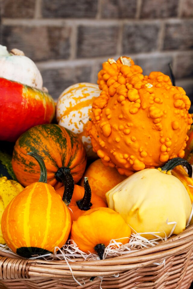 Crop fall food