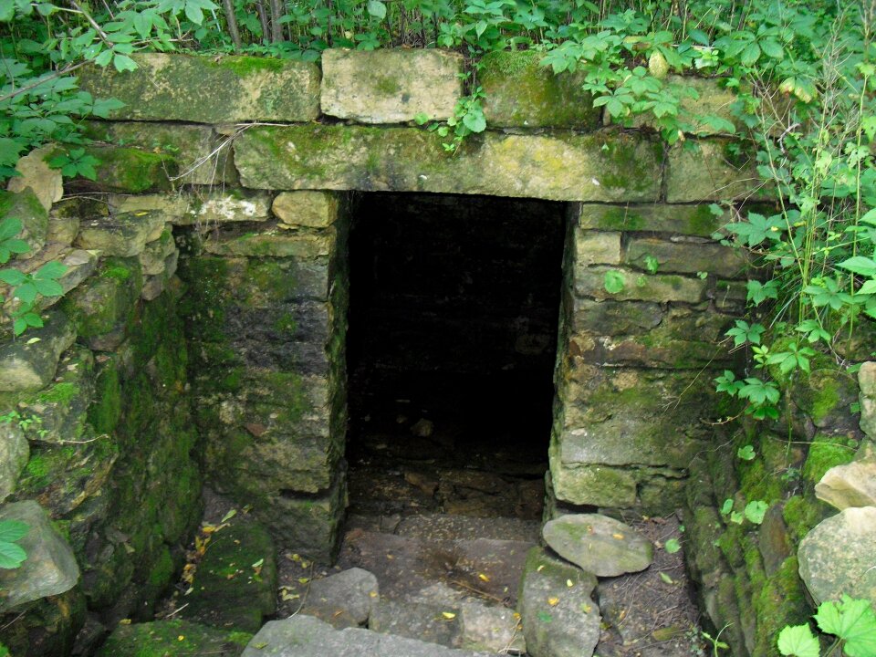 Moss entrance door
