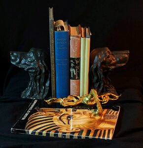Old books door latch gilt