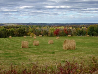 Field aroostook houlton