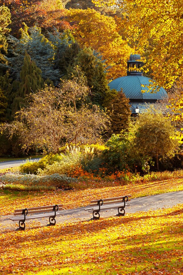 Bench landscape leaf