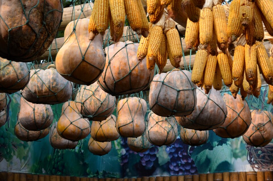 Harvest bounty storage