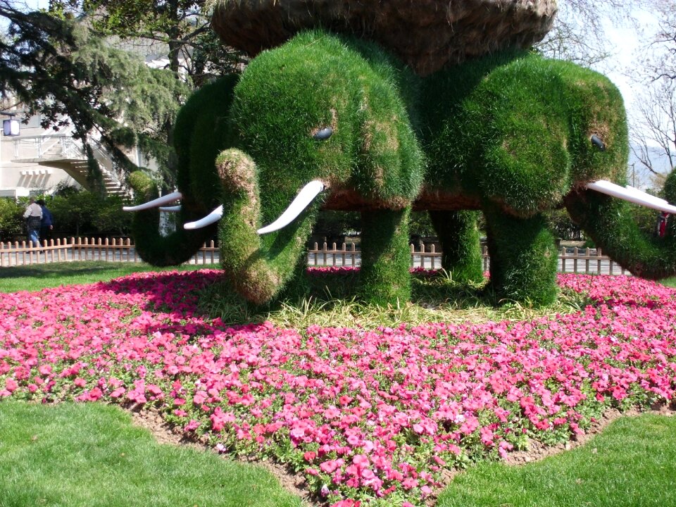 Artistic creation gardens flowers