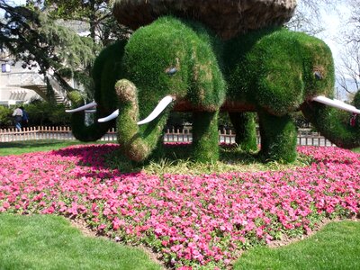 Artistic creation gardens flowers