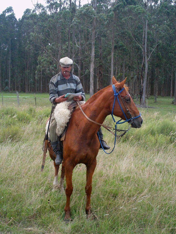 Paisano rider field