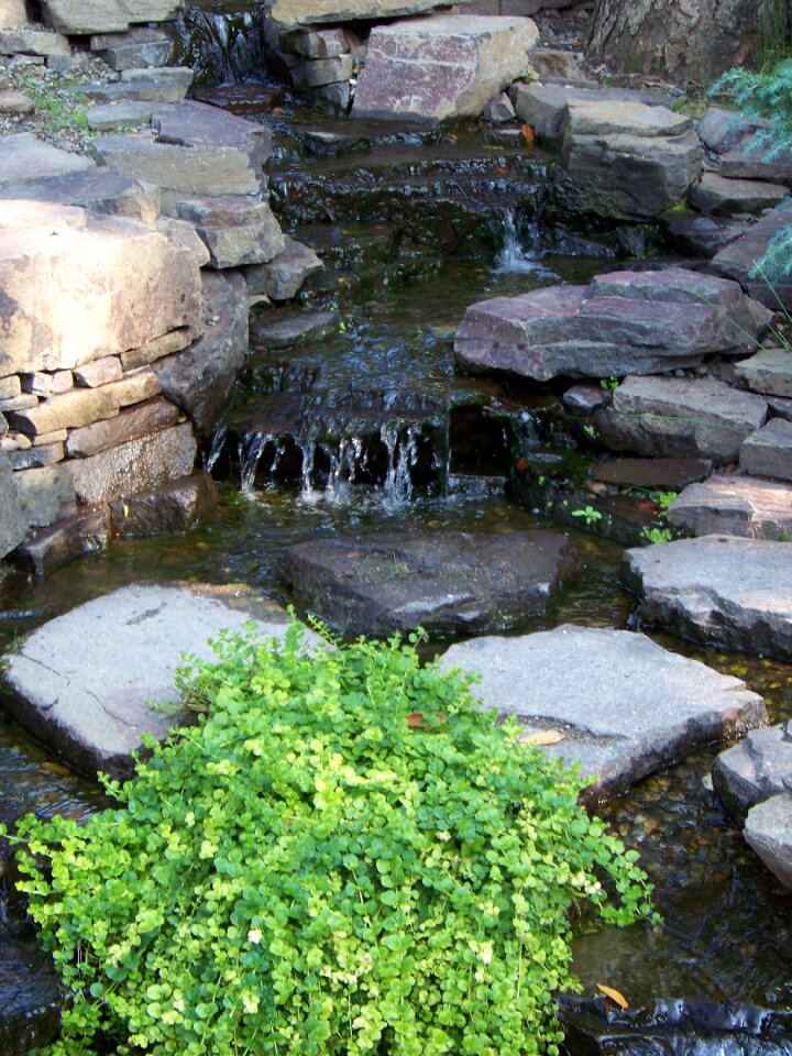 Garden pond rocks