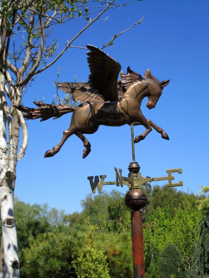 Bronze wind garden